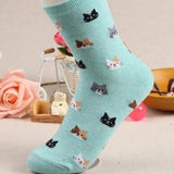 Petites Chaussettes Chats Turquoise